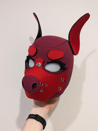 Red Dog Hood Pre-made
